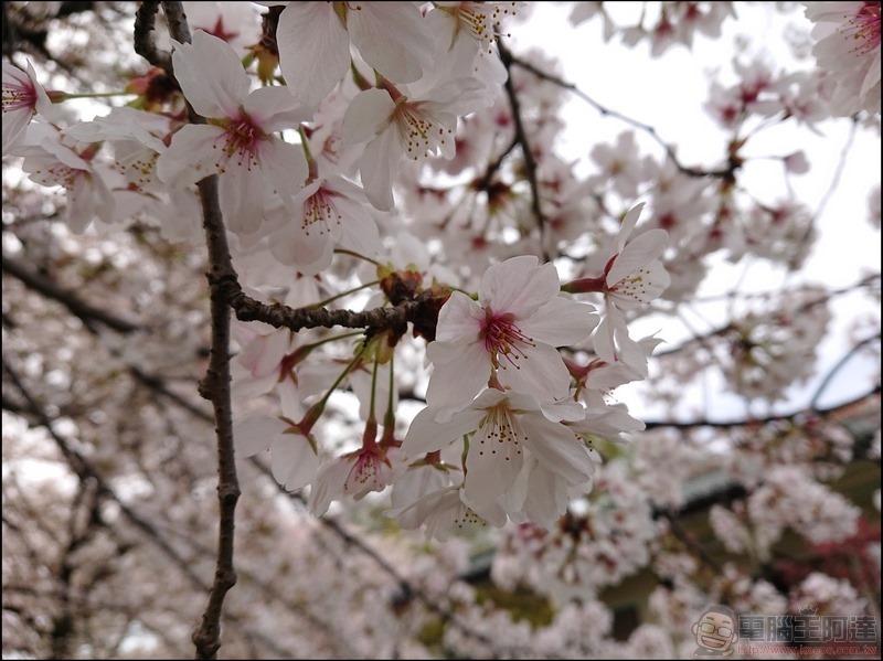 nEO_IMG_根川綠道 (15)