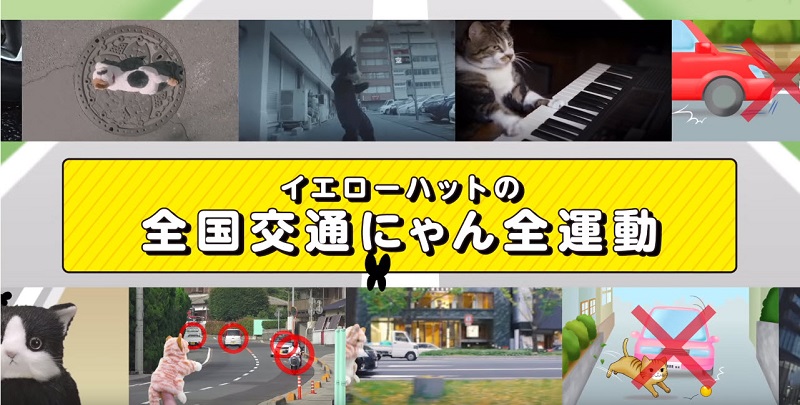 日本推出世界首支給貓看的「 猫専用交通安全宣導動畫 」 - 電腦王阿達