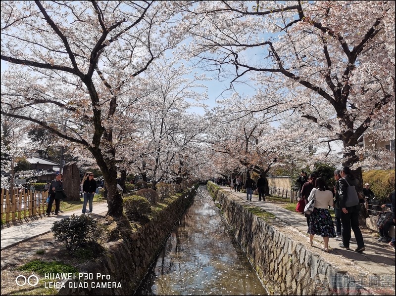 HUAWEI P30 Pro 京都大阪賞櫻隨手拍 - 04