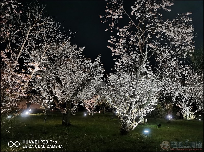 HUAWEI P30 Pro 京都大阪賞櫻隨手拍 - 34