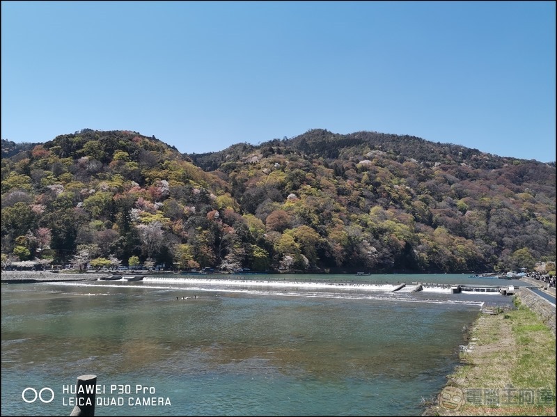 HUAWEI P30 Pro 京都大阪賞櫻隨手拍 - 40