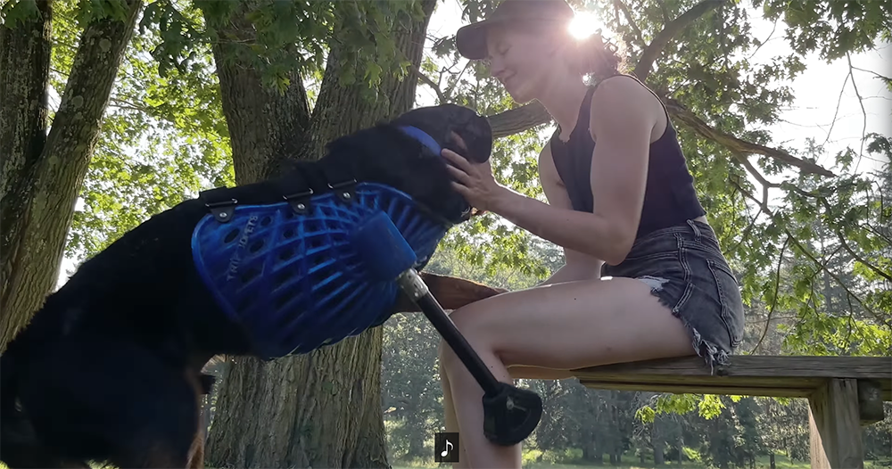 Apple 最新影片以 LiDAR 協助狗狗量身製作了一支義肢