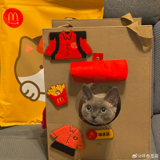 中國麥當勞推出可以把主子帶出門的「麥當勞貓窩」 貓奴們直呼好想要 - 電腦王阿達