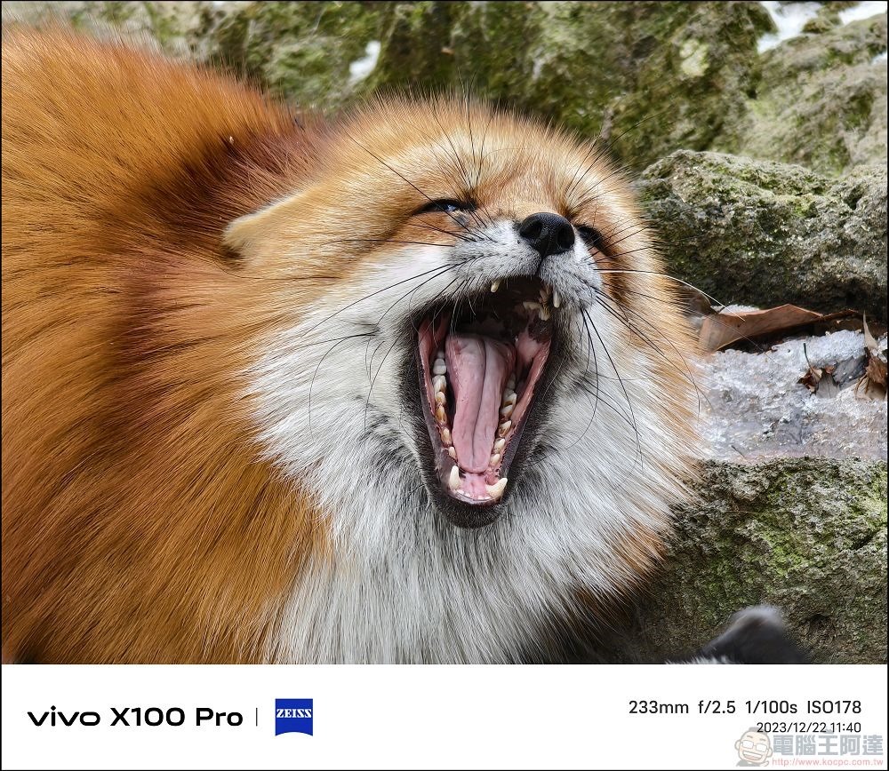 vivo X100 Pro 拍照測試 - 060