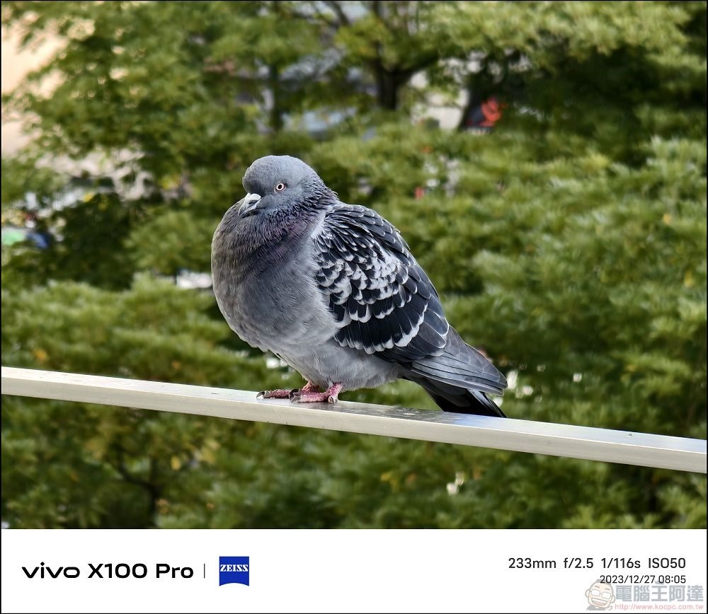 vivo X100 Pro 拍照測試 - 109