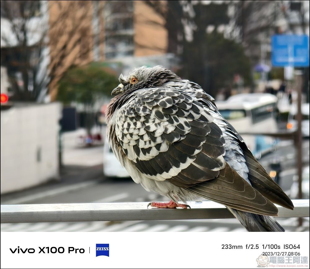 vivo X100 Pro 拍照測試 - 111