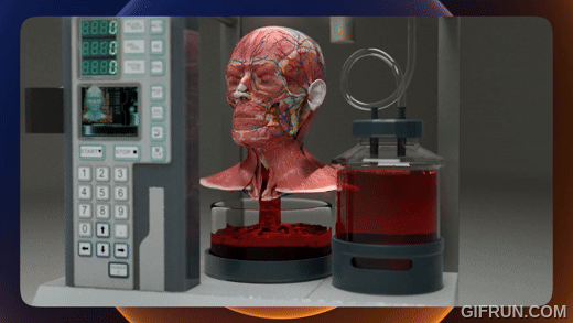 腦機接口、AI 輔助：國外初創 公司 BrainBridge 開發「頭部移植系統」移植人類頭顱 - 電腦王阿達