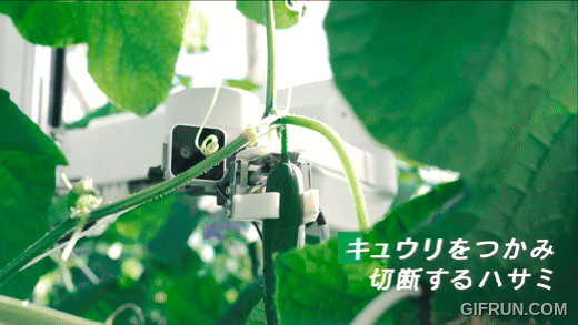 AGRIST 開發小黃瓜自動收穫機器人：AI識別、吸式手臂不傷農作物 - 電腦王阿達