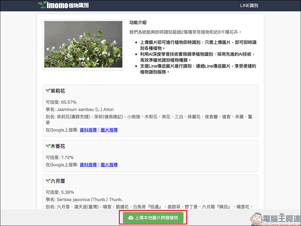 IMOMO 植物 AI 識別功能，眼前的是什麼花？用 LINE 就能分析花卉名稱與相關資訊 - 電腦王阿達